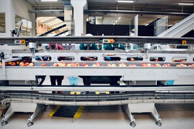 Food manufacturing conveyor belt